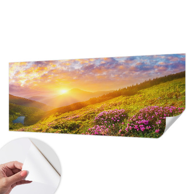 Self-adhesive wall mural with a Mountain West landscape design