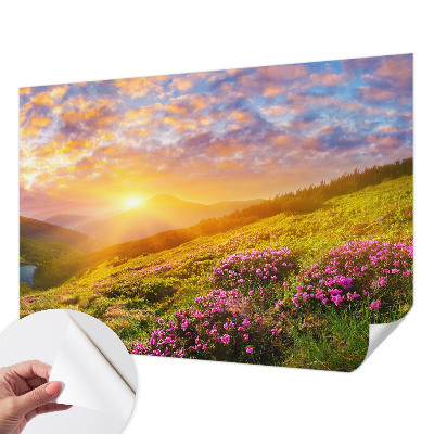 Self-adhesive wall mural with a Mountain West landscape design