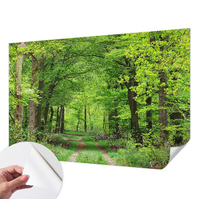 Self-adhesive photo wallpaper with a forest path motif