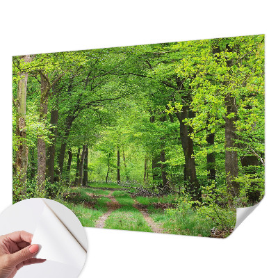 Self-adhesive photo wallpaper with a forest path motif