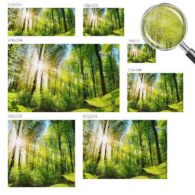 Stick-on wall mural featuring a forest bathed in soft light