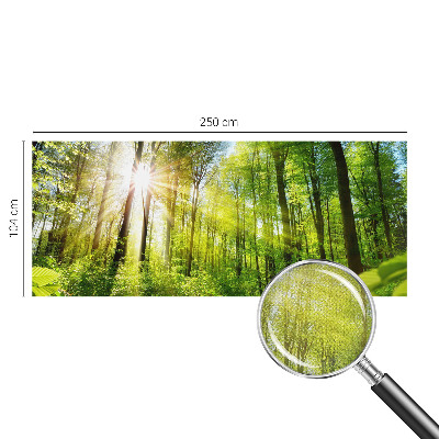Stick-on wall mural featuring a forest bathed in soft light