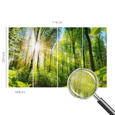 Stick-on wall mural featuring a forest bathed in soft light
