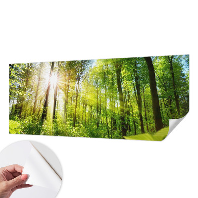 Stick-on wall mural featuring a forest bathed in soft light