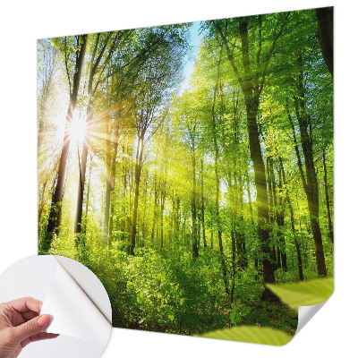 Stick-on wall mural Forest light