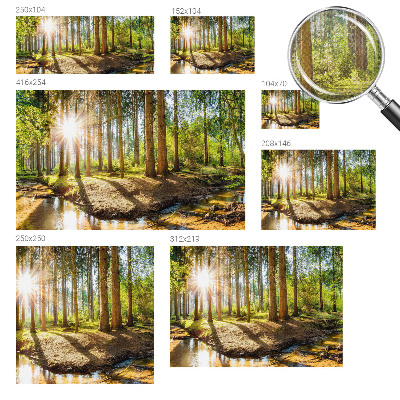 Removable wall mural wallpaper Forest idyll