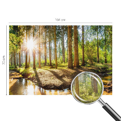 Removable wall mural wallpaper Forest idyll