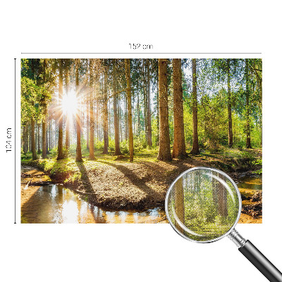 Removable wall mural wallpaper Forest idyll
