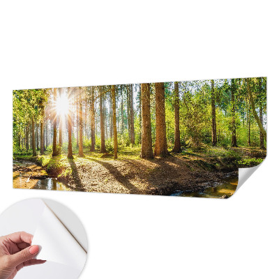 Removable wall mural wallpaper Forest idyll