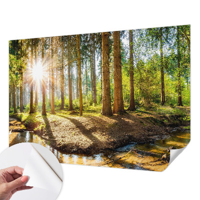 Removable wall mural wallpaper with a forest idyll design