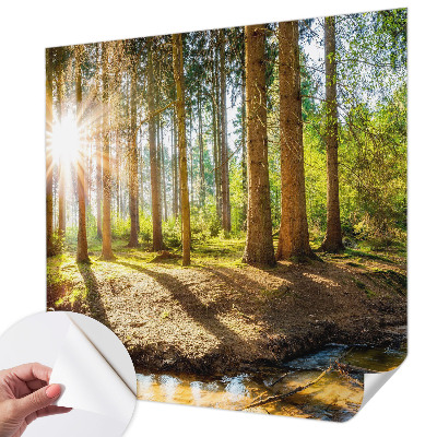 Removable wall mural wallpaper Forest idyll
