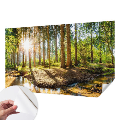 Removable wall mural wallpaper with a forest idyll design