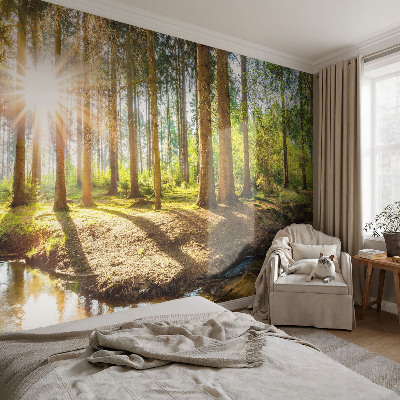 Removable wall mural wallpaper Forest idyll