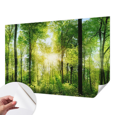 Peel and stick wall mural for kids' room with a forest harmony design