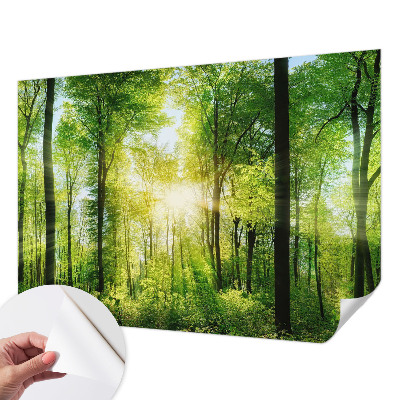 Peel and stick wall mural for kids' room with a forest harmony design