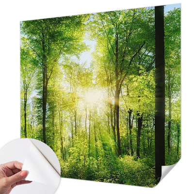 Peel and stick wall mural for kids' room with a forest harmony design