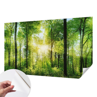 Peel and stick wall mural for kids' room with a forest harmony design