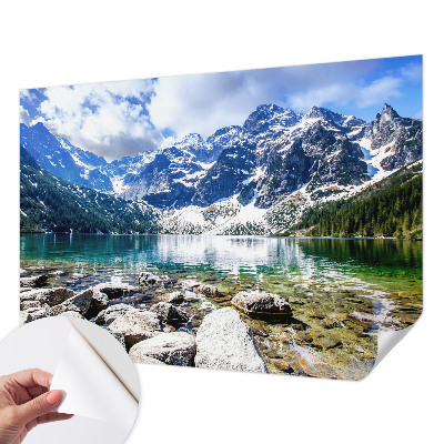 3D wall mural with a mountain landscape design