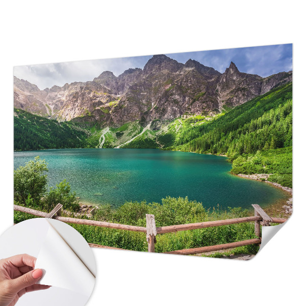 3D wall mural featuring a mountain landscape