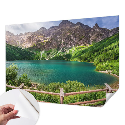 3D wall mural featuring a mountain landscape