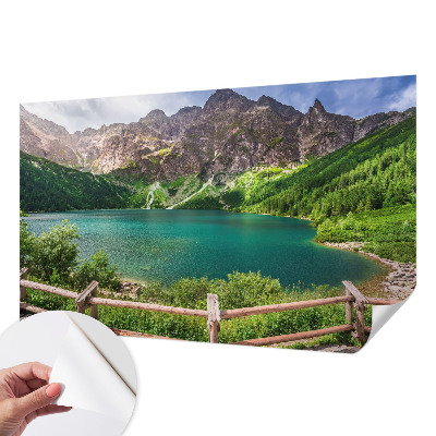 3D wall mural featuring a mountain landscape