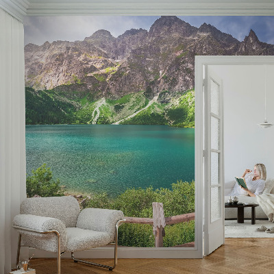 3D wall mural featuring a mountain landscape