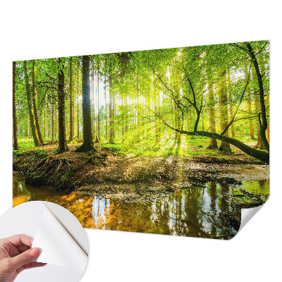 Children's wall mural featuring a green landscape design