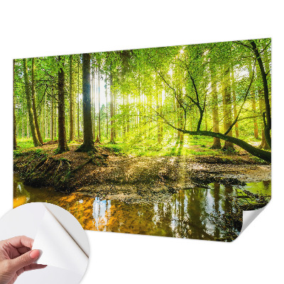 Children's wall mural featuring a green landscape design
