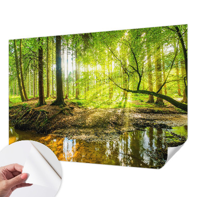 Children's wall mural featuring a green landscape design