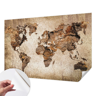 Peel and stick wall mural Wooden map