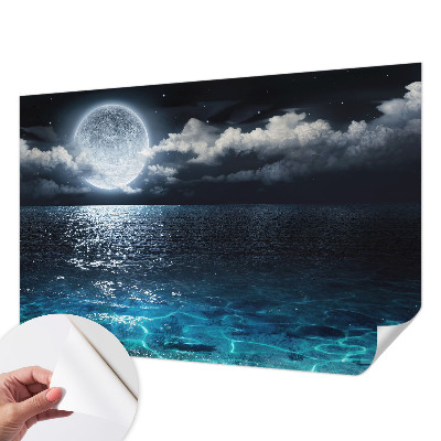 Removable wall mural wallpaper with a night sea design
