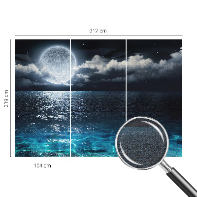 Removable wall mural wallpaper with a night sea design