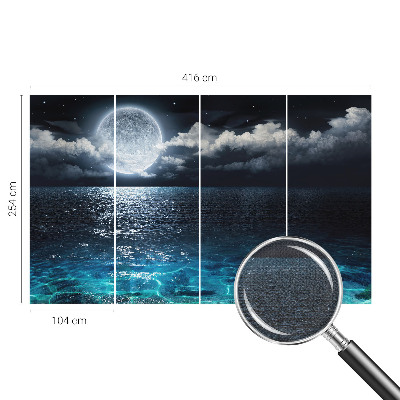 Removable wall mural wallpaper with a night sea design