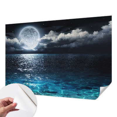 Removable wall mural wallpaper with a night sea design