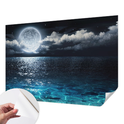 Removable wall mural wallpaper with a night sea design