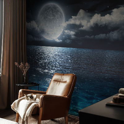 Removable wall mural wallpaper Night sea