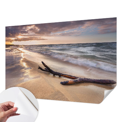 Peel and stick wall mural for kids' room with a West Beach design