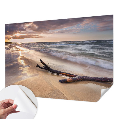 Peel and stick wall mural for kids' room with a West Beach design