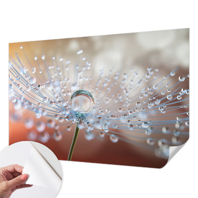 3D wall mural with a close-up of a dandelion seed and a water droplet