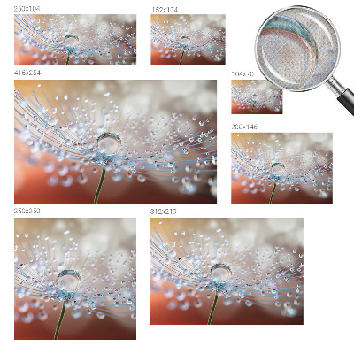 3D wall mural with a close-up of a dandelion seed and a water droplet