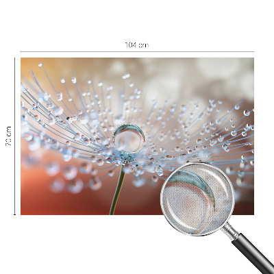 3D wall mural with a close-up of a dandelion seed and a water droplet
