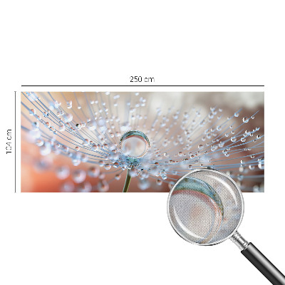 3D wall mural with a close-up of a dandelion seed and a water droplet