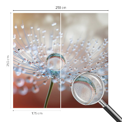 3D wall mural with a close-up of a dandelion seed and a water droplet