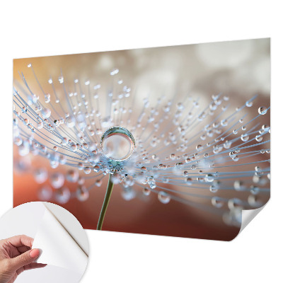 3D wall mural with a close-up of a dandelion seed and a water droplet