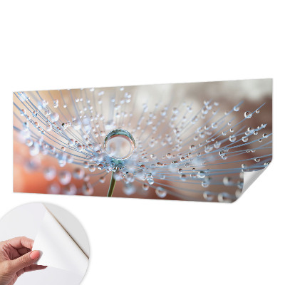 3D wall mural with a close-up of a dandelion seed and a water droplet