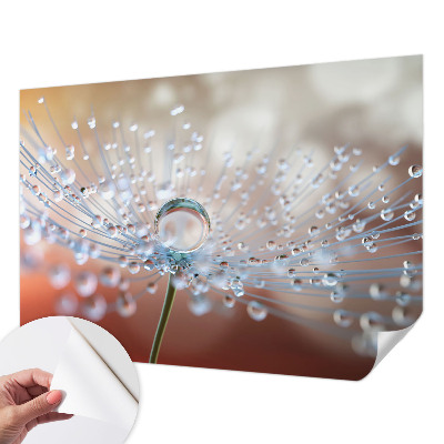 3D wall mural with a close-up of a dandelion seed and a water droplet