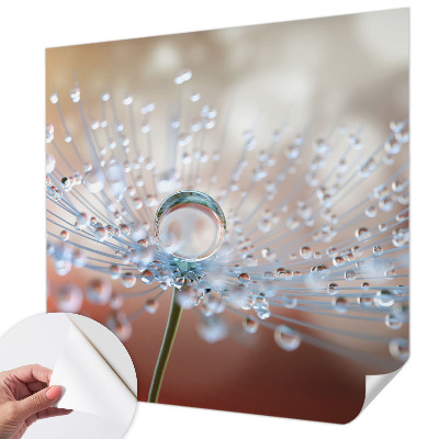 3D wall mural with a close-up of a dandelion seed and a water droplet