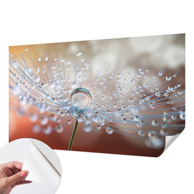 3D wall mural with a close-up of a dandelion seed and a water droplet