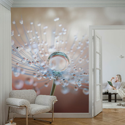 3D wall mural with a close-up of a dandelion seed and a water droplet