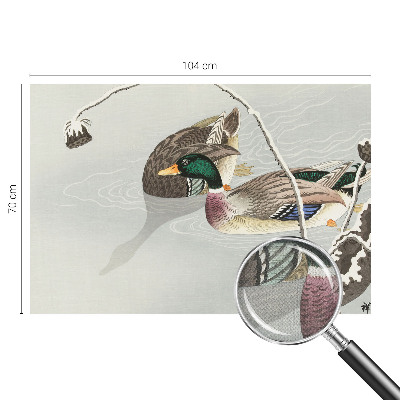 Nursery wall mural Calm ducks